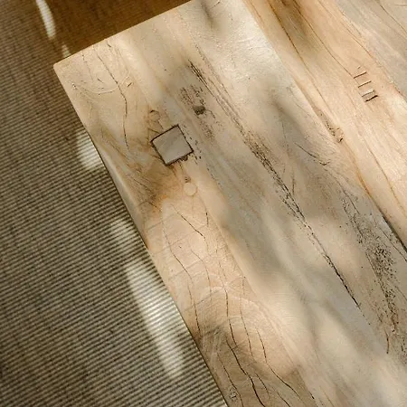 Flateli Santa Clara 12