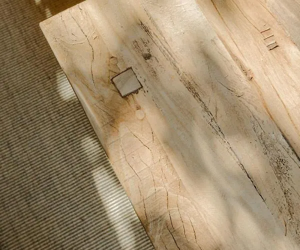 Flateli Santa Clara 12